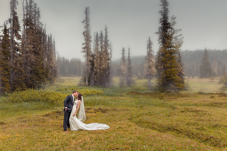 Paradise Meadows Bride & Groom, Mount Washington Wedding 1