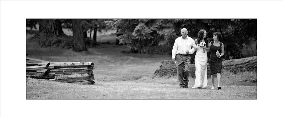 Newcastle island wedding photo Newcastle island wedding photo DA2