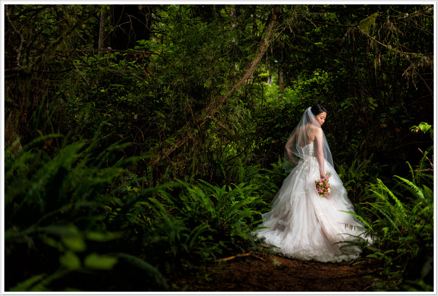 Wickaninnish Inn forest wedding