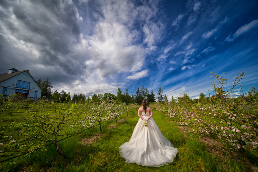 Sea Cider farm and Ciderhouse wedding 1