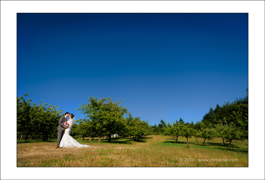 Merridale Ciderworks Wedding photo K&G 1