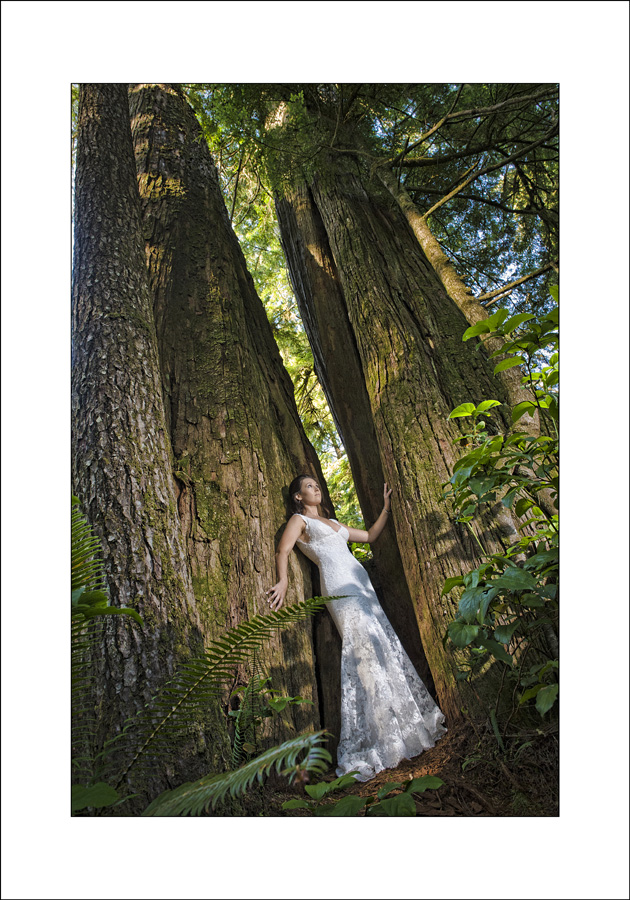 Shell beach Wickanninish Inn wedding photo by chrisboar.com Wickanninish Inn wedding photo LI3