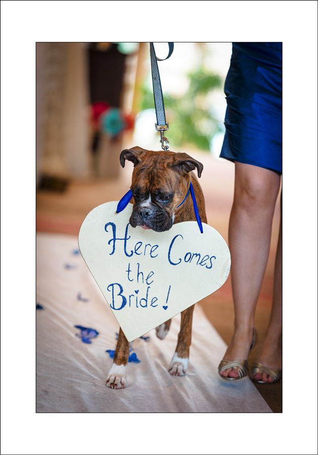 Victoria Olympic View Golf Club wedding photos